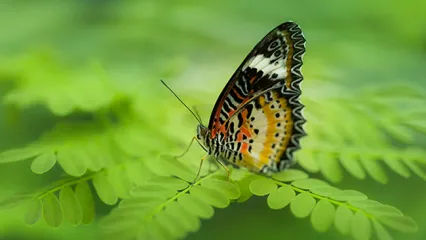 Discover the Irresistible Charms and Captivating Landscapes of Life in Turkey